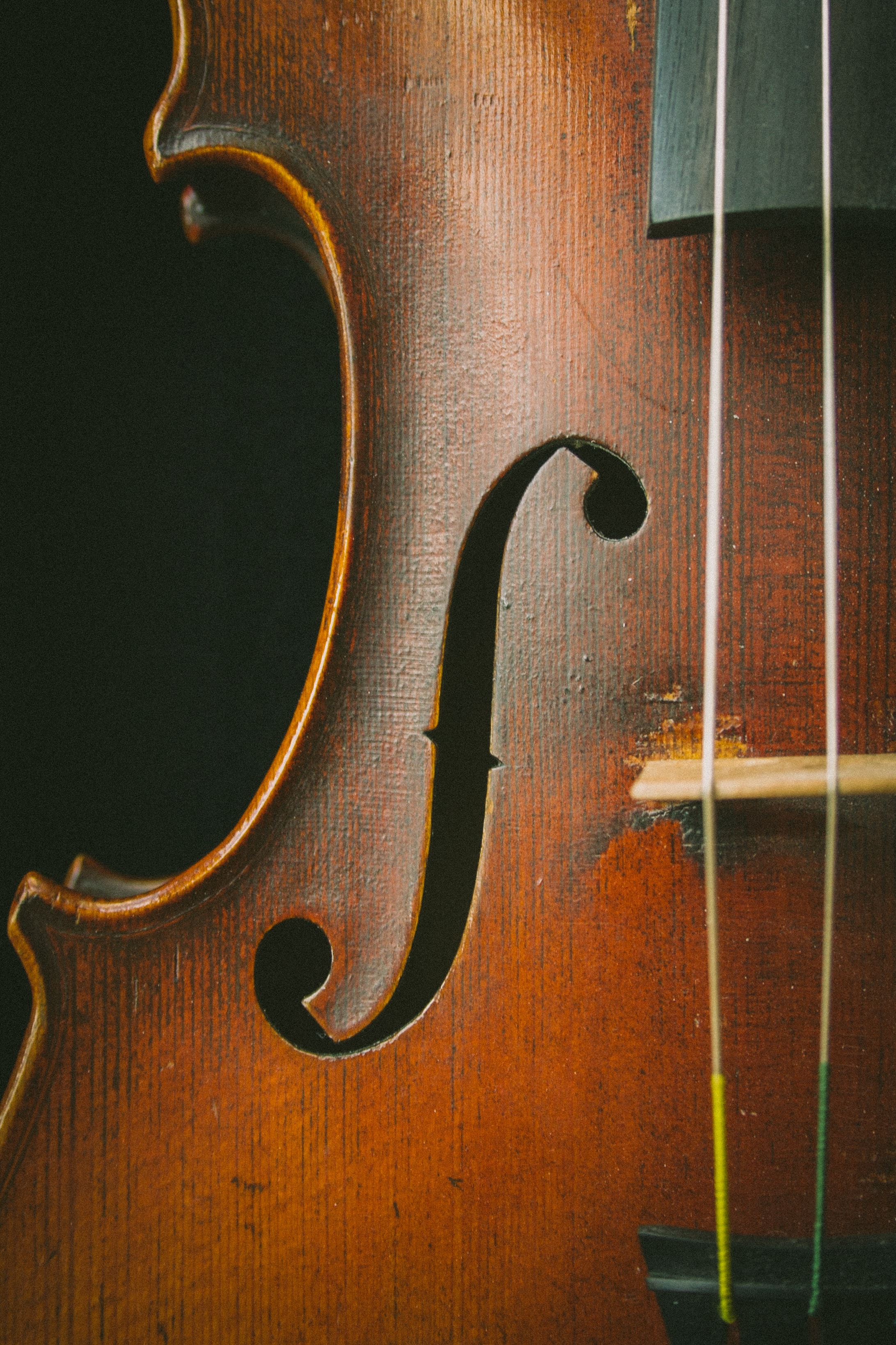Violin 2 (1)
